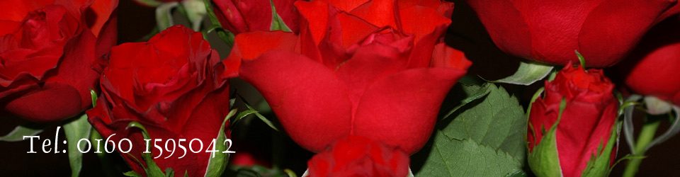 … das diskrete Apartment in Cottbus